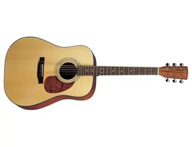 Cort AD850
