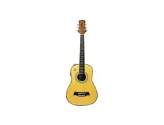 RJ Guitars Baby Premium Travel Series Acoustic Guitar main image