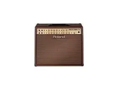 Roland AC-100 main image