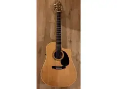 Seagull S6 Duet main image