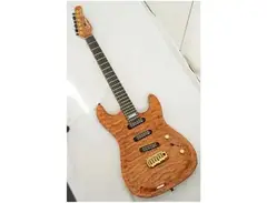 Godin Artisan ST main image