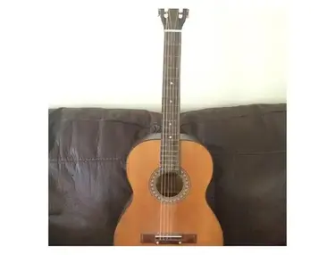 dana acoustic