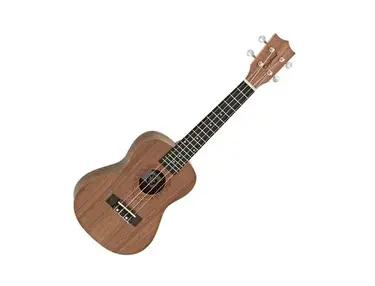 Tanglewood TWT3