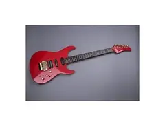 Fernandes Guitars FR95s with sustainer main image