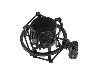 the t.bone SSM 2