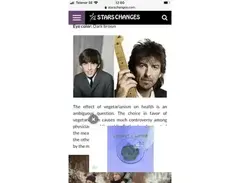 Fender Stratocaster ( George Harrison 1987)