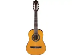 Ibanez GA1-AM 3U-03 main image