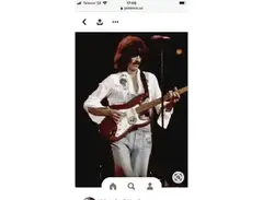 Fender Stratocaster ( Dark Horse Tour)