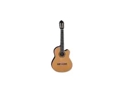 Samick Greg Bennett C-5CE main image