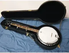 Samick Artist Series Banjo main image