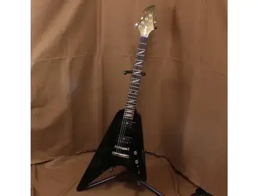 Washburn PT-60
