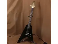 Washburn PT-60 main image