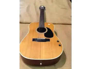 Electro-Harmonix EH-7010 Acoustic Guitar