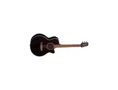 Takamine ED-11C BL main image