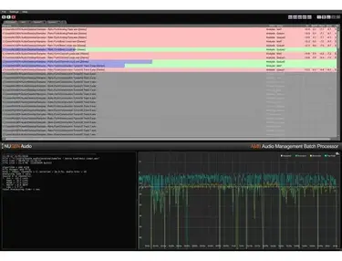 NUGEN Audio AMB Enterprise Module