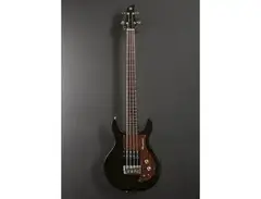 Ampeg AMB-1 main image