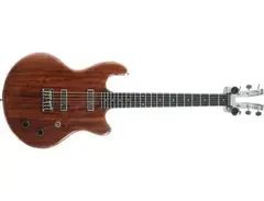 Kramer 350G main image
