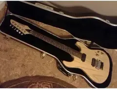 Carvin Bolt Plus C main image