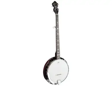 Mitchell MBJ200 Deluxe Banjo