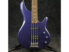 Ibanez RDGR 300 main image