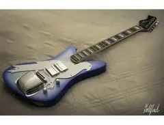 Goldfinch Custom Guitar
