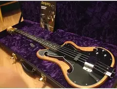 Ampeg AEB-2 main image