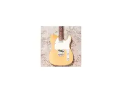 Maxtone Telecaster main image