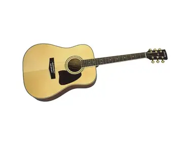 Ibanez Artwood AW100