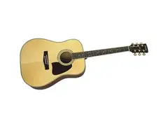 Ibanez Artwood AW100