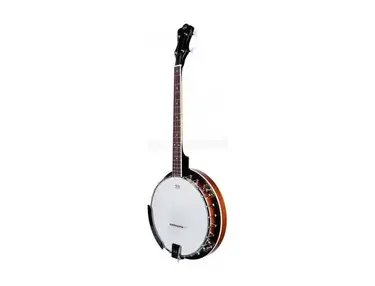VGS Tenor Banjo 4-String