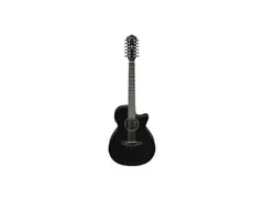 Ibanez AEG5012 12-string Acoustic-Electric Guitar