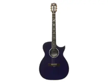 Homestead Guitars