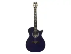 Homestead Guitars