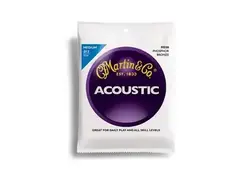 Martin M550 Phosphor Bronze Medium main image