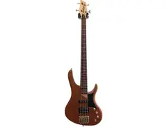 Washburn RB-2002 main image
