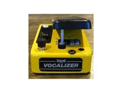 Colorsound Vocalizer main image