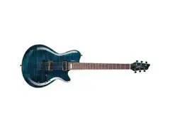 Godin LG Signature main image