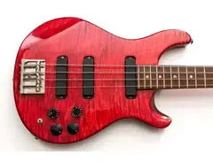 PRS Bass-4 Curly main image