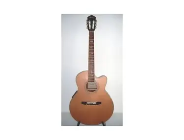 Ibanez AEL-50CSN