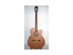 Ibanez AEL-50CSN main image