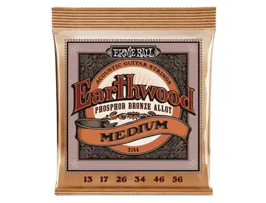 Ernie Ball Earthwood Phosphor Bronze Acoustic Guitar Strings (13-56)