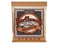 Ernie Ball Earthwood Phosphor Bronze Acoustic Guitar Strings (13-56)