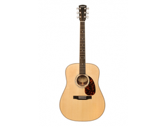 Larrivée Guitars D-09 artist series