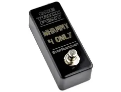 Step Audio One Trick Pony Whammy 4 Only is a newer version of Molten Voltage One Trick Pony Cycle Path 04