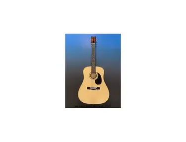 Hustler Acoustic Guitar