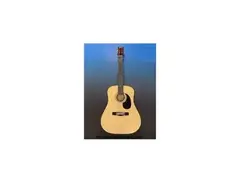 Hustler Acoustic Guitar main image