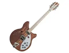 Rickenbacker 360/12W main image