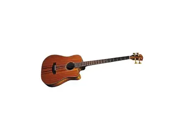 Fender Victor Bailey Acoustic Bass Signature