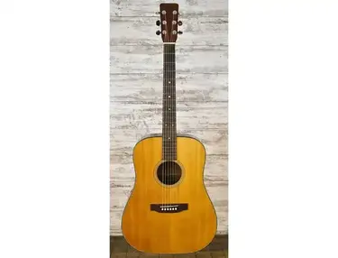 Martin 1966 Martin D-18