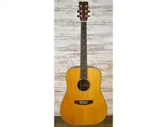 Martin 1966 Martin D-18